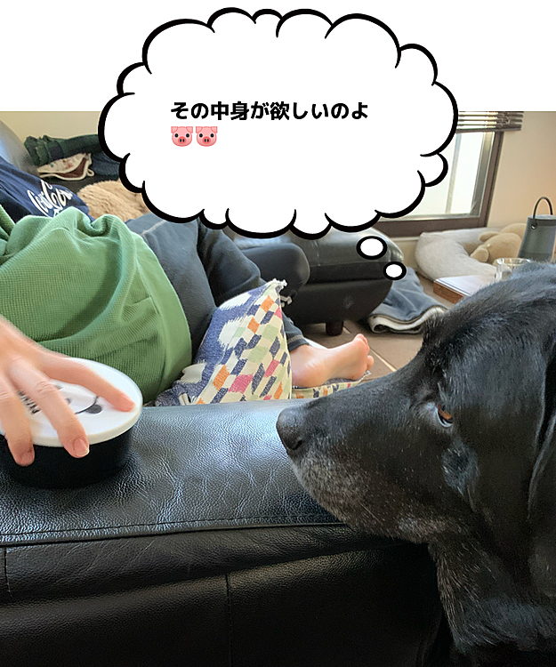 ぶた組ブッチャー班🐽🐽の投稿