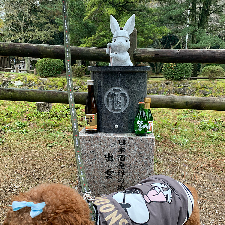 帰ろうとしたら日本酒発祥の地
だったことを知ります。
へぇー‼️と100円お供えしました。
それから帰るまで時間があるなーと思っていたら
酔っ払いのおじさんが話しかけてきて
「八百の神様はここには昨日までしかいないけど他の神社で宴をしてるよ」と教えてくれました。
ミラクル４‼️
このおじさん、日本昔ばなしでうさちゃんが100円のお礼に酔っ払いのおじさんになって出てきた？
で、神様が宴会をされている神社に寄ってきました。
写真撮り忘れてしまいました。でもちゃんとあるよ‼️むかし話みたいに化かされてないよ‼️