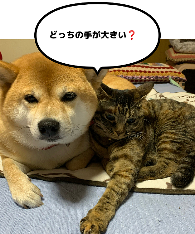 最近 2人の距離が近くなって嬉しい😭