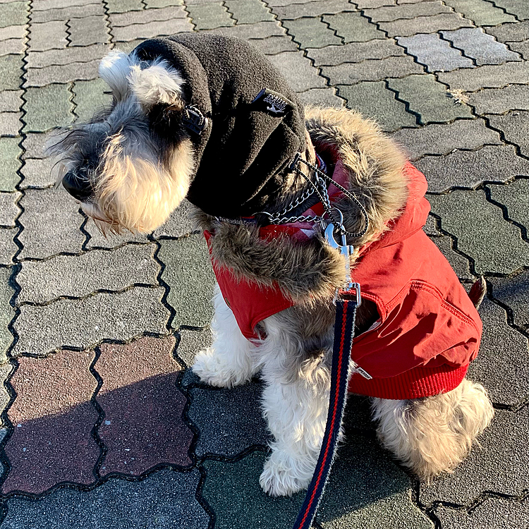 今朝は寒いです🥶