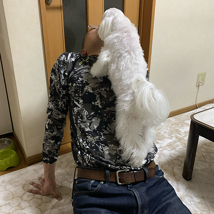 で、こうなり
