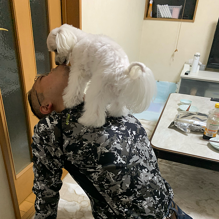 登っちゃってる蘭丸さん。