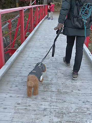 たくさん写真撮り過ぎて削除する写真を精査するのも一苦労😓
お気に入りの写真が多く動画たくさんお付き合い頂き失礼しました😜