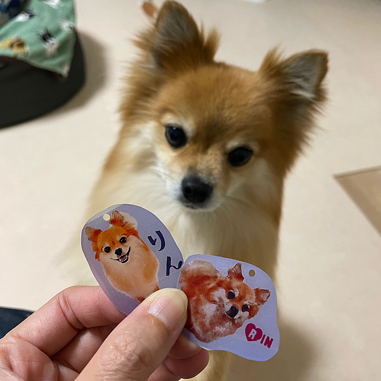 こちらは本家とプラ板。
ペロペロしちゃいました😅