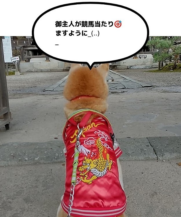 御主人の代わりに代参😃