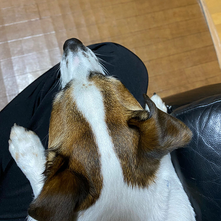 上から覗いて