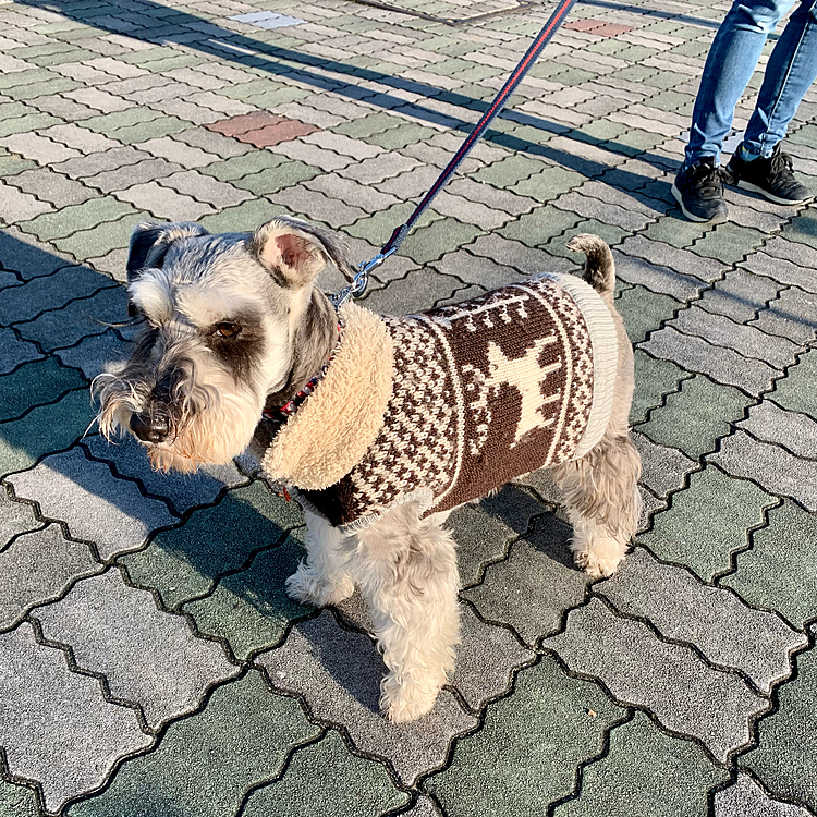 以外と暖かいです！