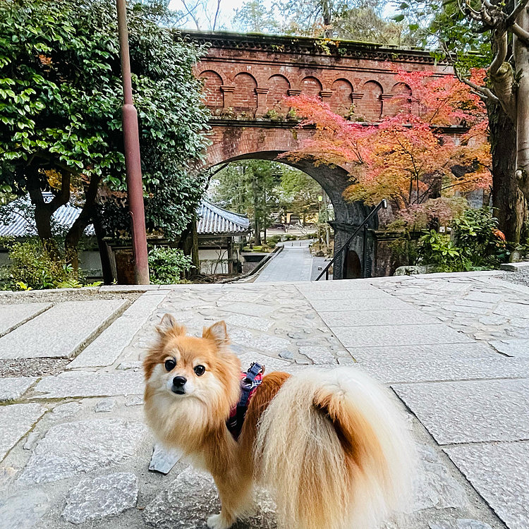 好きな一枚です✨