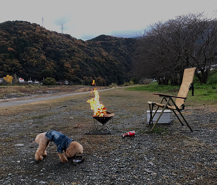 AM 6:30  いつもの河川敷で朝食。
今日も必死で食ってます😅