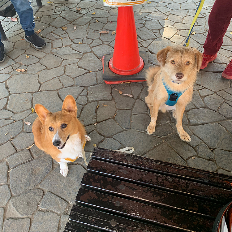 レンコンくんも来てくれたね💕いつもありがとう😊