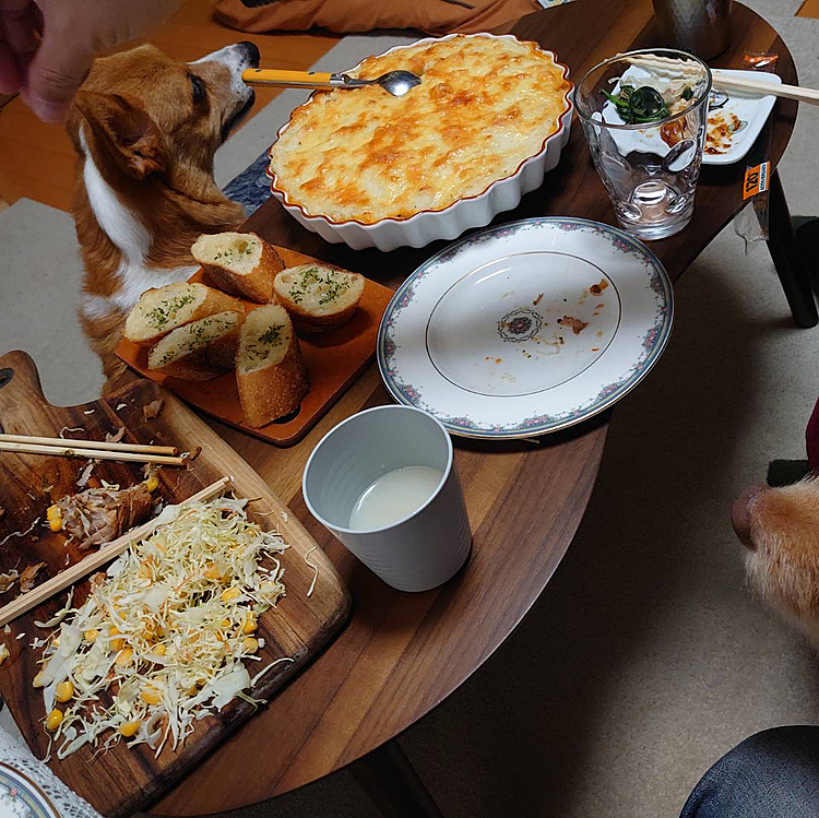 終わってから、先生ご夫妻とレンコンくんと我が家で忘年会🥂今年もお世話になりました☺️