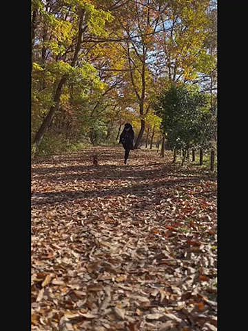 ハッピーに視線がいっていたのと落ち葉と同化していていた小さな木に激突してビョンビョンってなりました😂😂😂
何がどうなったのか理解出来ておらずバタついている部分は恥ずかしくて編集したかったのですが最後のハッピーの顔が笑えるのでそのまま😅
