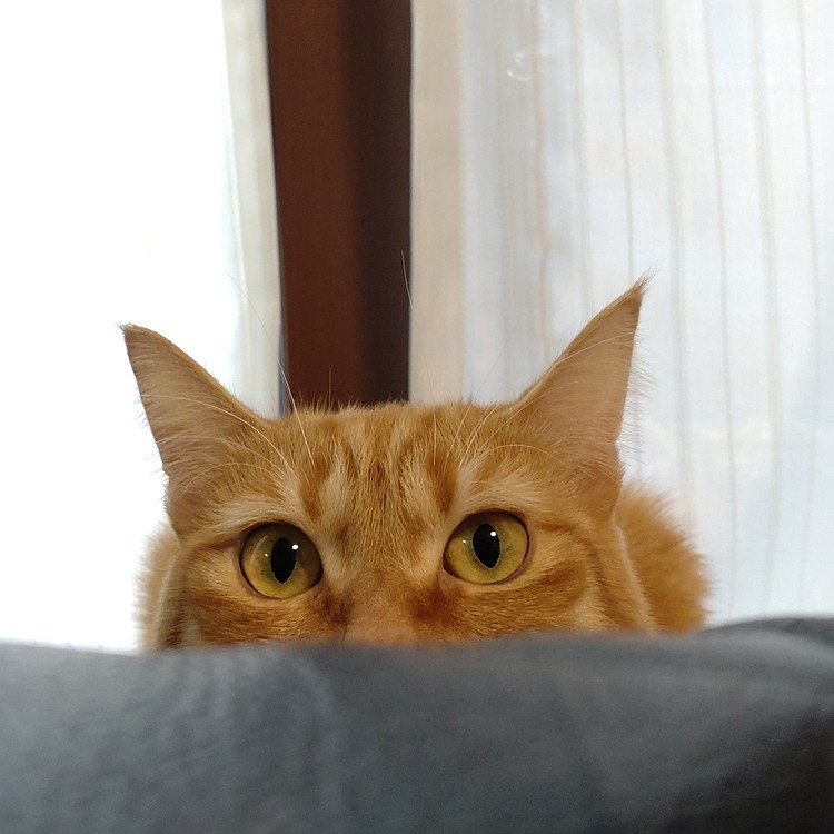 のぞき見😁