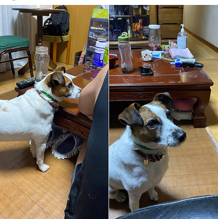 ちょーだい❣️