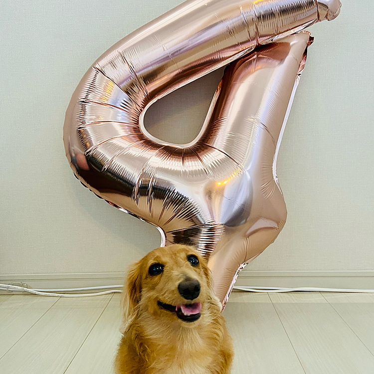4歳の風船大きすぎた🤣🎂
