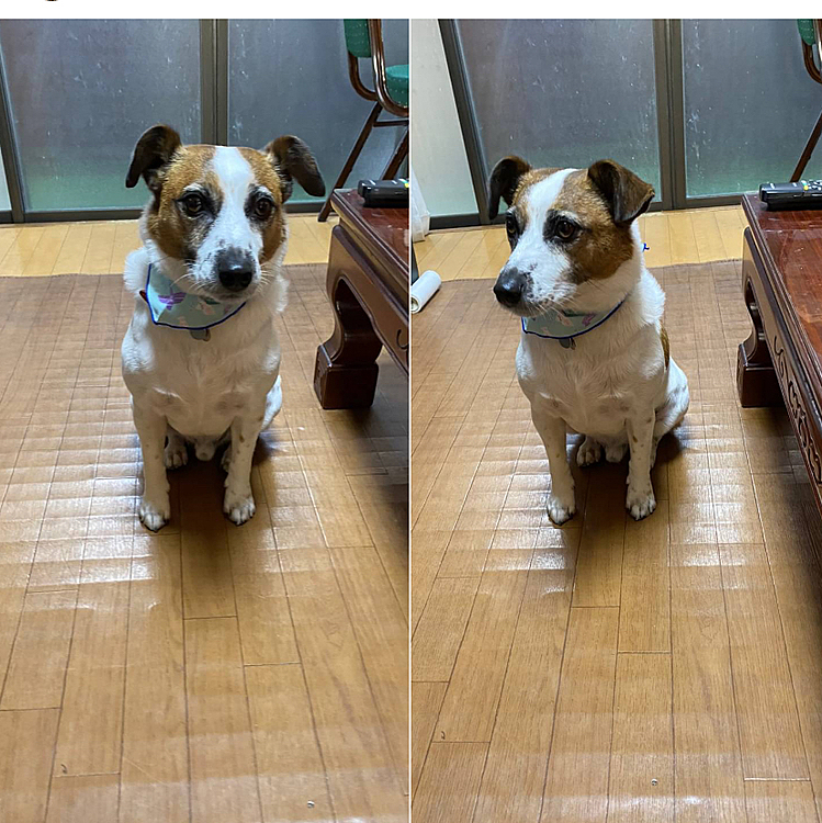 こっちの方が、バンダナ、良くみえるね❣️