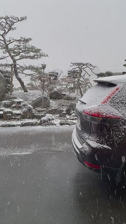 月曜日の朝、風が強くて寒かった〜🥶

今日は午後から雨☔️
お散歩行けないね〜☹️