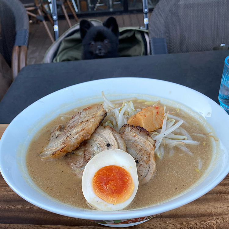 千葉で何店舗か展開してる味噌ラーメンのお店、田所商店にテラス席があってワンコもOKの店舗があるとのことで、味噌ラーメン大好きうにママに付き合わされて行ってきました、田所商店Premium🍜
15時頃に行ったんですが、日陰だわ風強いわでテラス席の寒いのなんの:(((´◦ω◦｀))):
ちなみにだらおはネギ好きじゃないのでネギ抜きで|･ω･`)ｺｯｼｮﾘ
この後だらおは胃もたれで苦しみます(  ꒪ཫ꒪ )