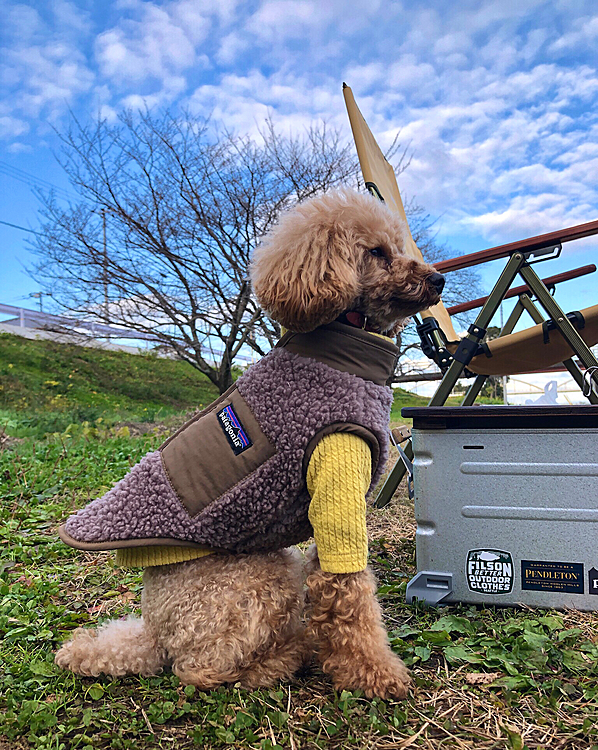 2021-12-18

🐾　焚き火日和

マル地方も昨日より結構冷え込みました🥶

って事で、おーんなじ内容です🙇‍♂️