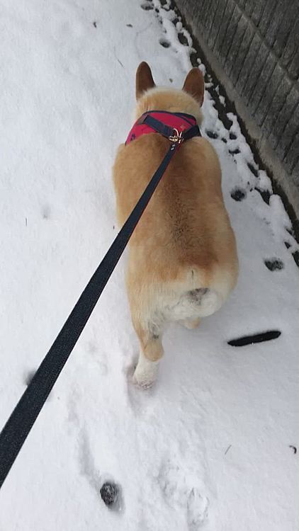 あちこち気になるよねぇ🤣