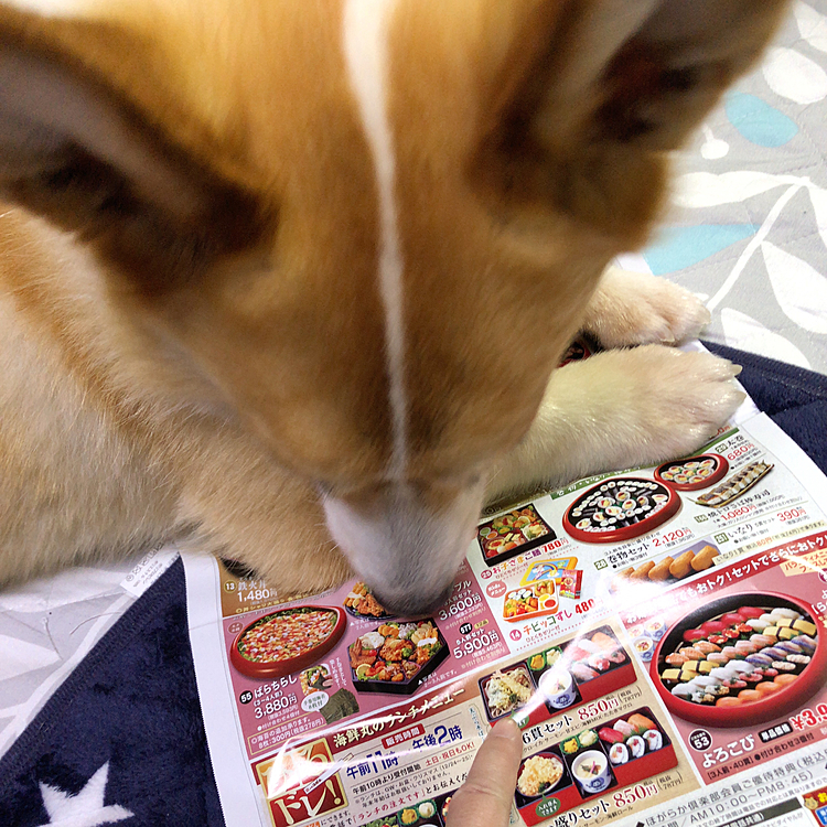 これ食べたいなぁ😃
ボクも〜❤️って感じですかね😃笑笑