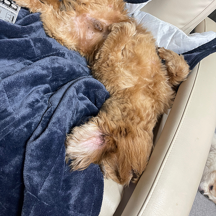ほくとさん、今日は早々に落ちました😅
