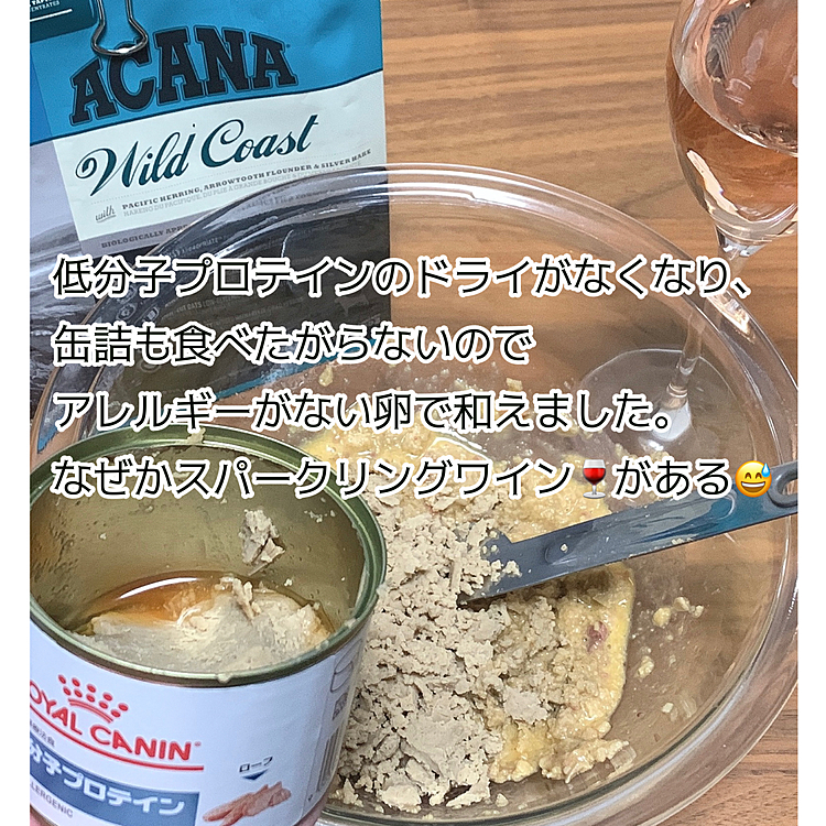 ワイン飲みながら作ってる時点で嫌な予感…
缶詰をニチニチほぐし、卵はアレルゲンに入っていなかったのでつなぎに使いました。
お団子にしようと思います。