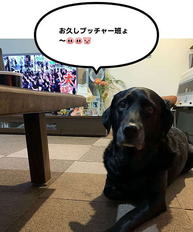 ぶた組ブッチャー班🐽🐽の投稿