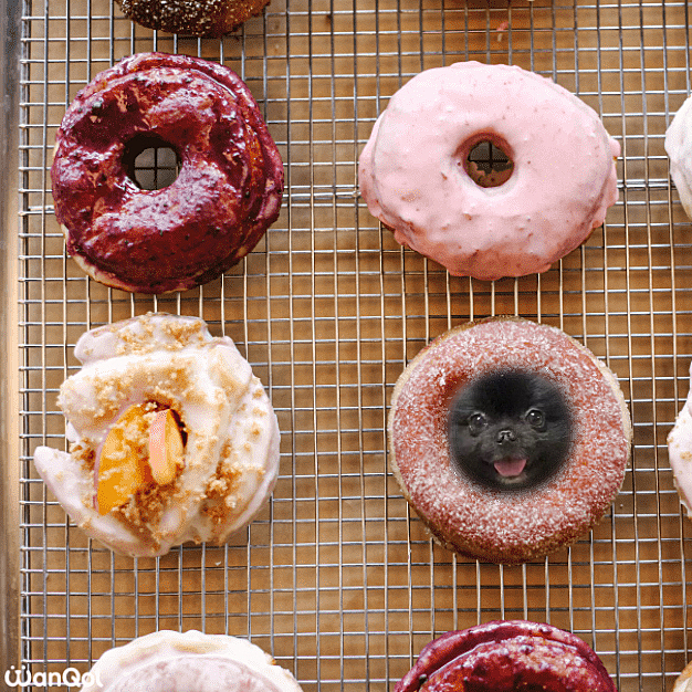 🍩