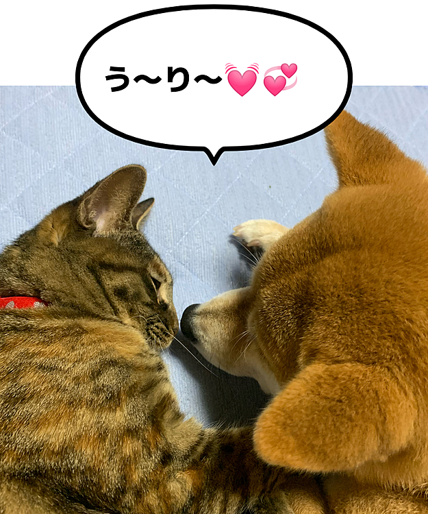 yukuriの投稿