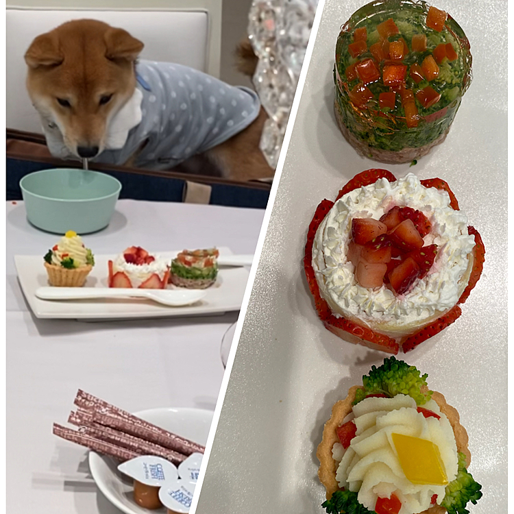 櫂にも美味しそうなごはんありました💕
もちろん完食　ペロリです😆