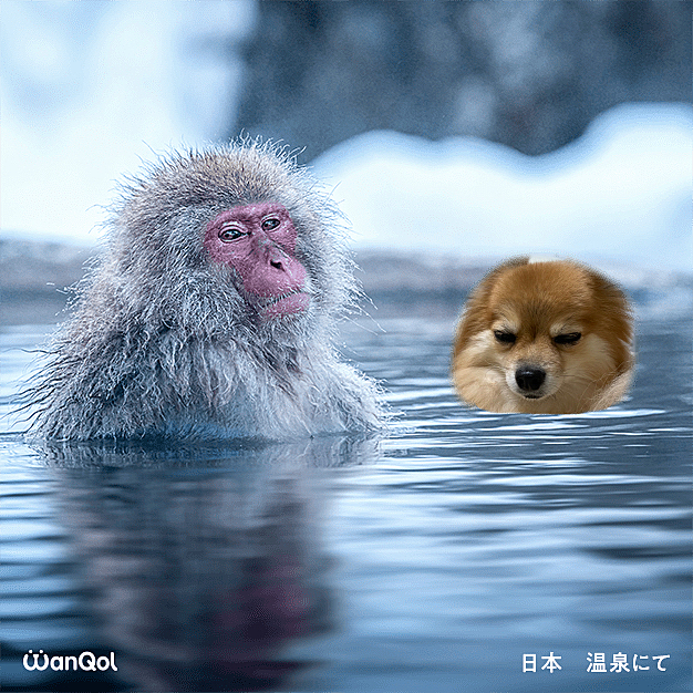 こちらはお猿さんとゆっくり温泉♨️
私も温泉行きたい😆