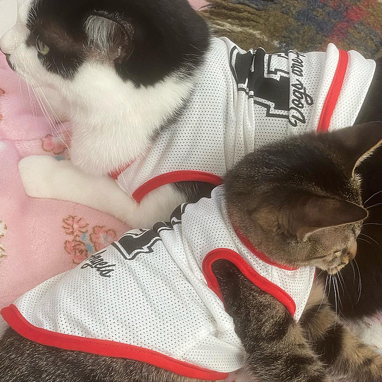 チビとムギのママ☺️の投稿