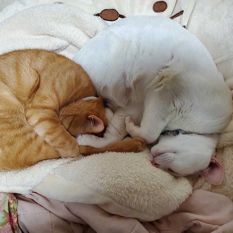 二人でまったり～
