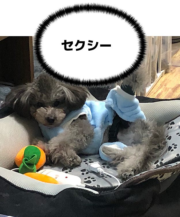 セクシーポーズ