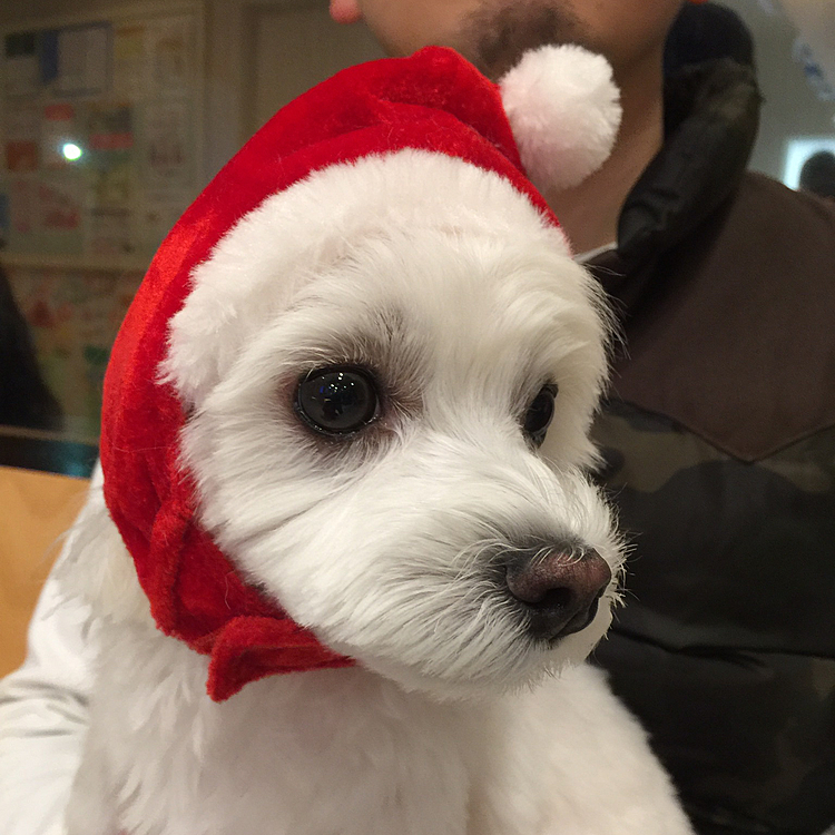 メリクリ✨🎅🎄✨