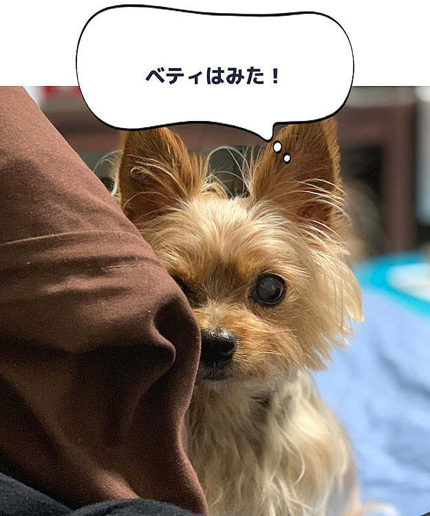 Ｂettyの投稿