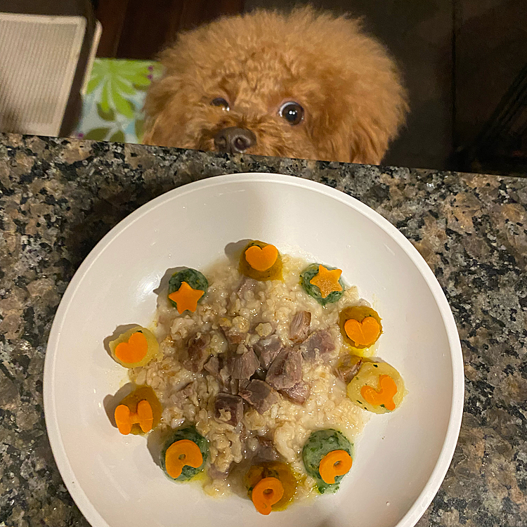 昨日はハッピーにお祝いの ペットじまん