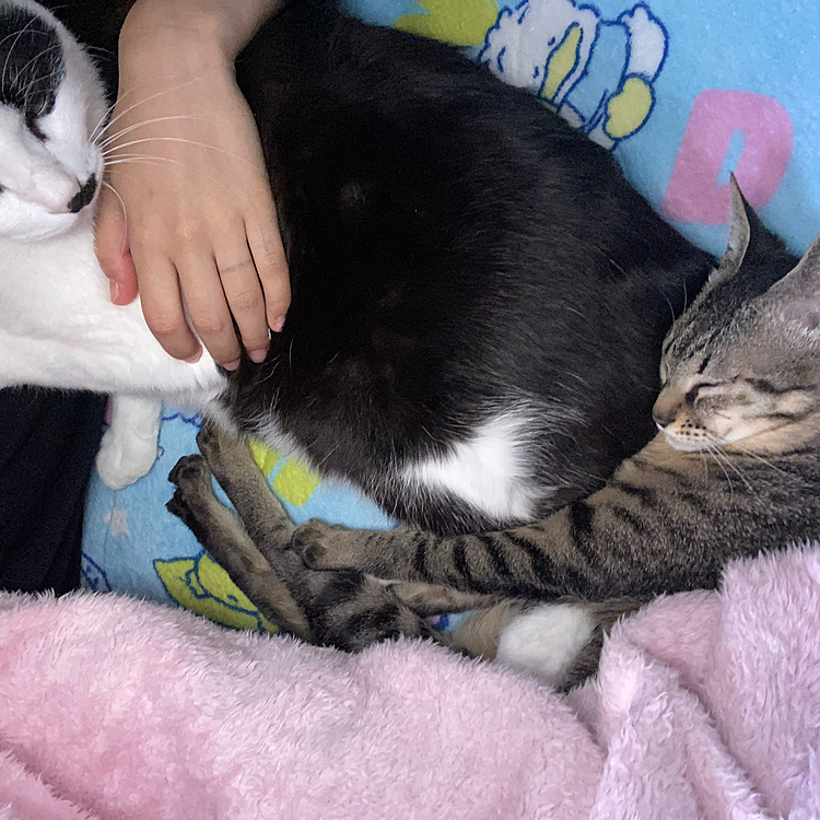 チビとムギのママ☺️の投稿