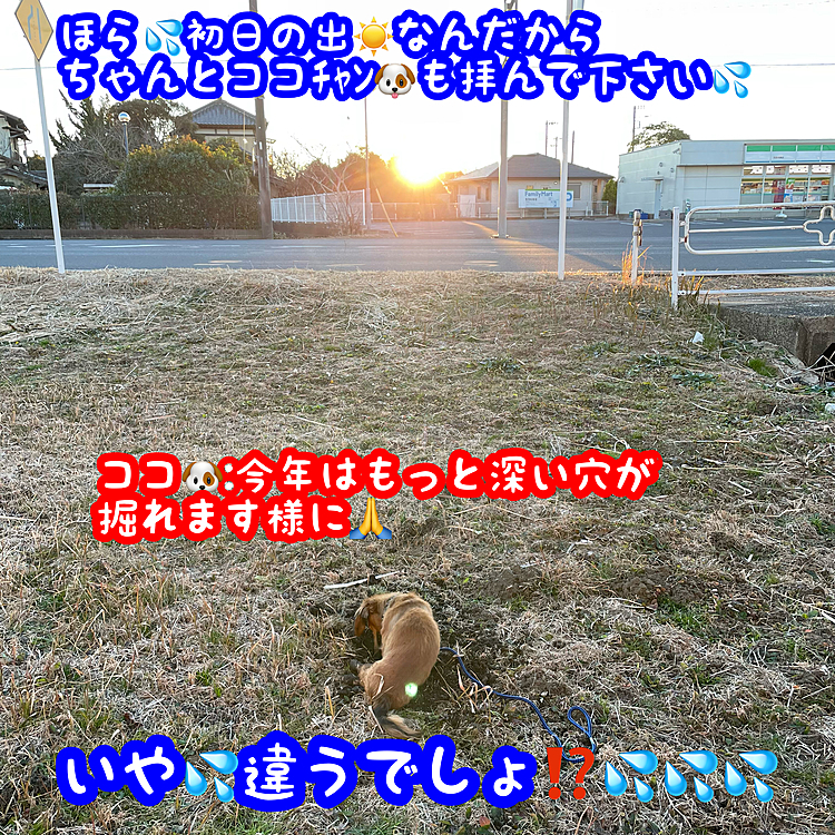 そこは「歩ける様になりますように🙏」って拝みなさいよ💦🤣🤣🤣