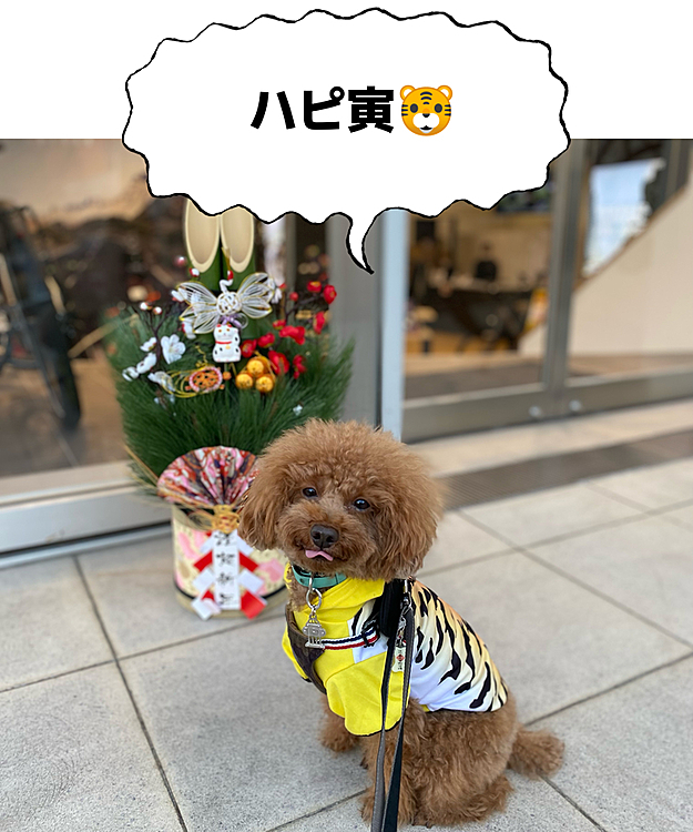 今年もおとぼけハッピーとズボラママの日常にお付き合い頂けると嬉しいです☺️