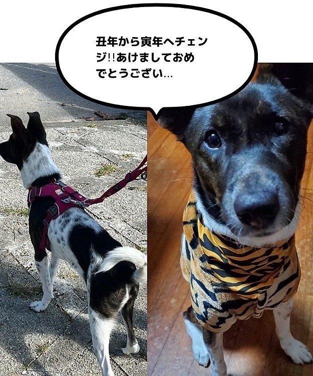 ビンゴの投稿