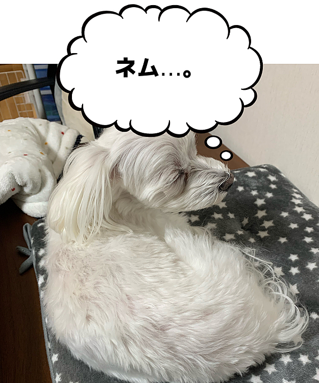 2022年になりました。
叔母宅で新年迎えました。

喪中につき、新年の挨拶は控えておきます。
が！今年も皆様よろしくお願い致します。
