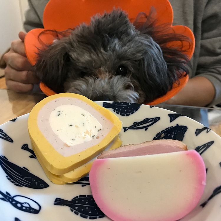 お節、食べたワン🐶