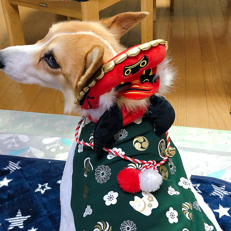 この獅子舞踊りません🌀このまま動かないです😃何故？
あ、今年はお利口さんになるって？
よろし〜😊