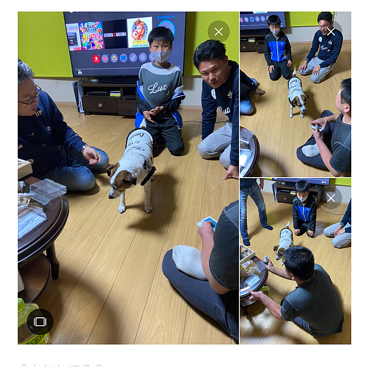 何が始まるの❓