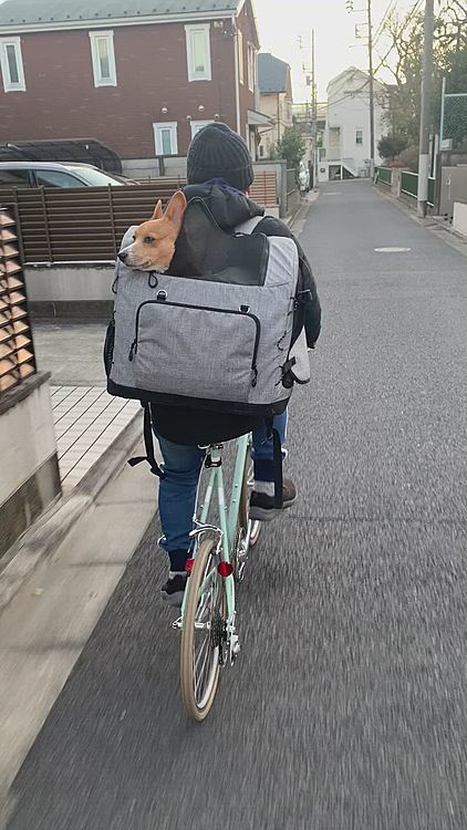 帰りは選手交代😆
わたしの息も絶え絶えのレポートが🤣😂🤣