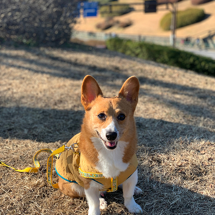 そして3日の今日は久しぶりに代々木公園に行きました😊