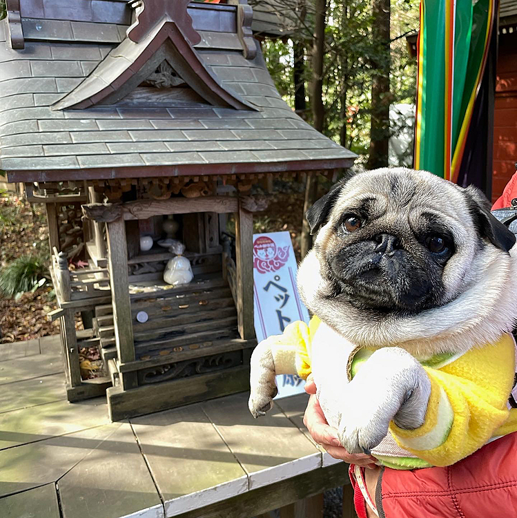 とうちゃんお休み最終日
太田の冠稲荷神社へお参り行ってきました⛩
