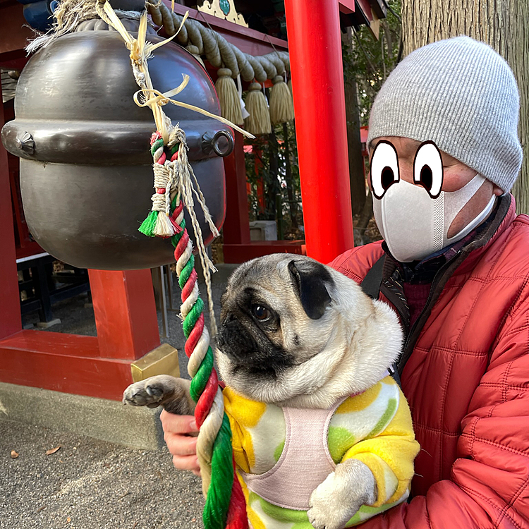 しっかりお祈りします🐶